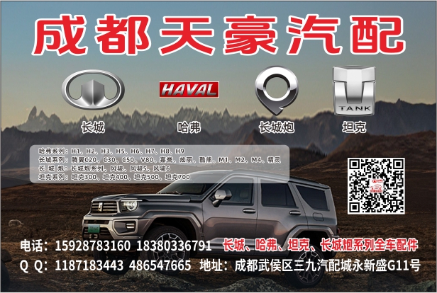 B国产彩18--天豪 文光.jpg